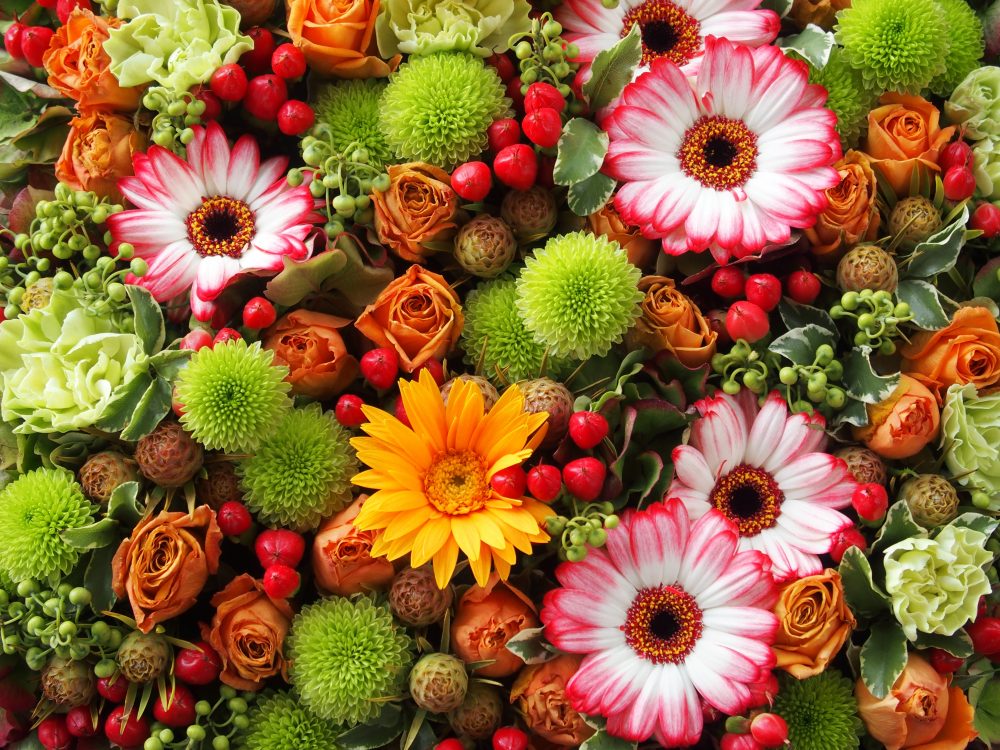 コミュニケーション