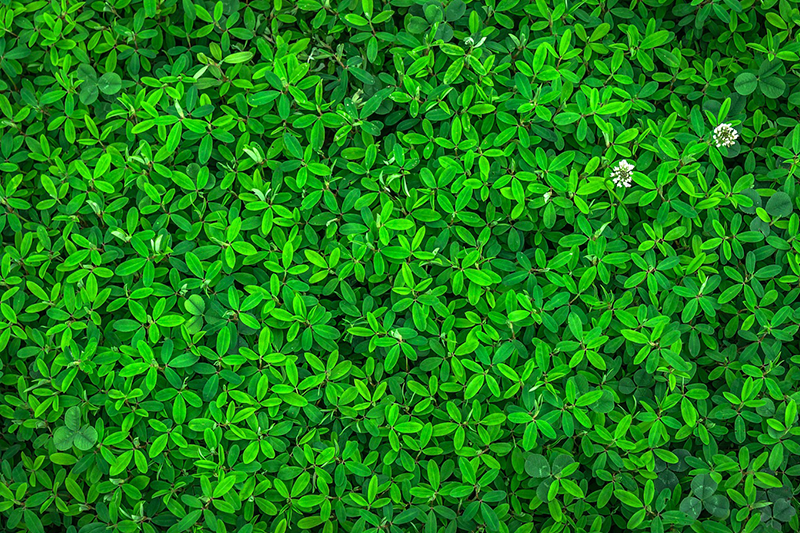 コロナウイルスによる影響と対策、プラネットができること01