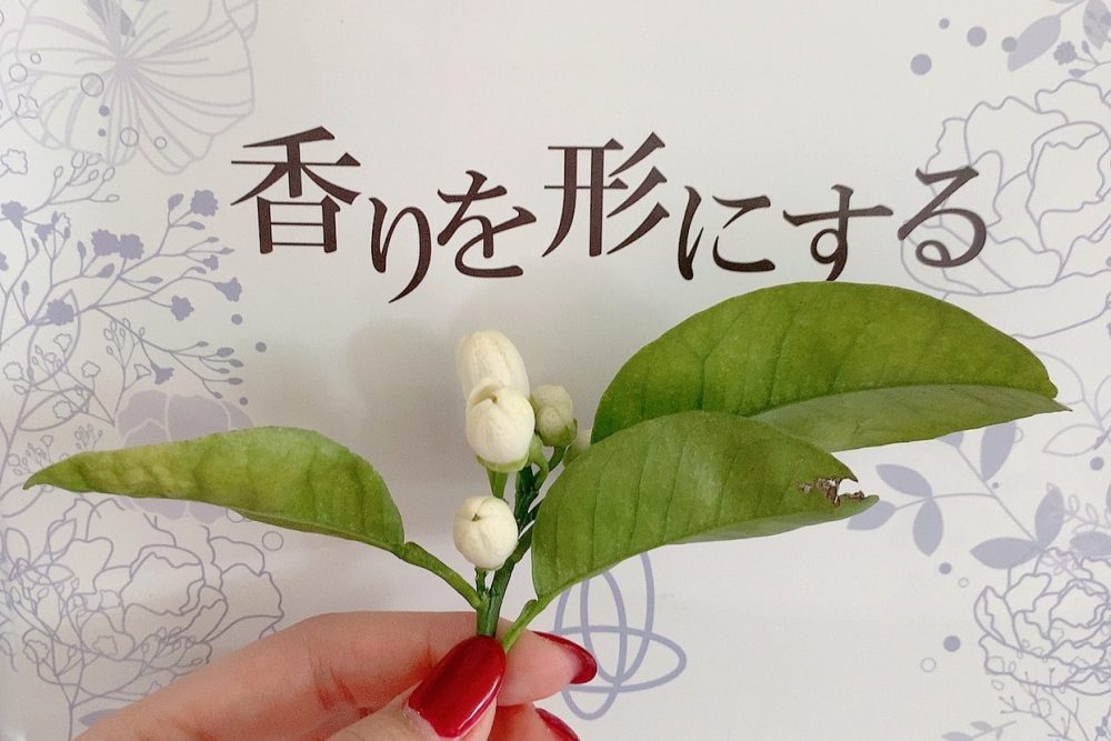 みかんの花の香り