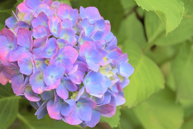 花よりダンゴ・・・